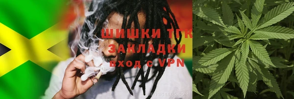 ПСИЛОЦИБИНОВЫЕ ГРИБЫ Балахна