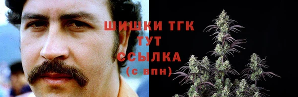 ПСИЛОЦИБИНОВЫЕ ГРИБЫ Балахна