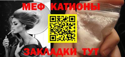 индика Камышлов