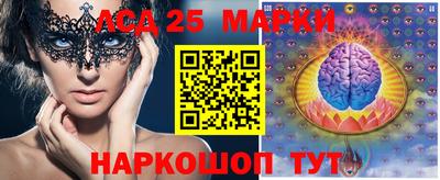 индика Камышлов
