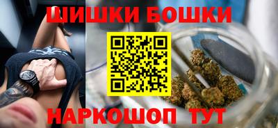 индика Камышлов