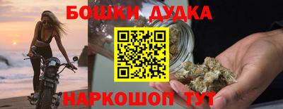 индика Камышлов