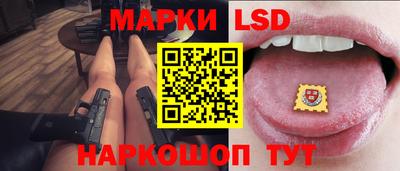 индика Камышлов