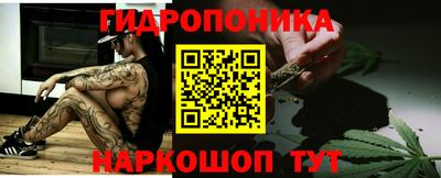 индика Камышлов