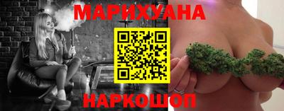 индика Камышлов