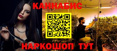 индика Камышлов