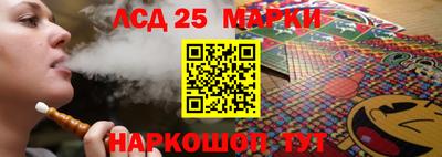 индика Камышлов