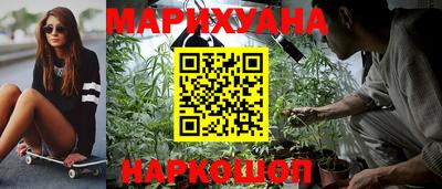 индика Камышлов