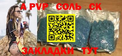 индика Камышлов