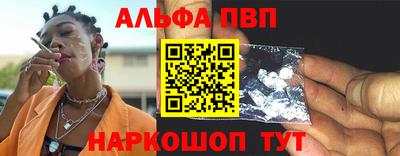 индика Камышлов
