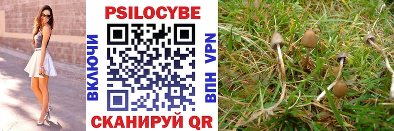 Галлюциногенные грибы ЛСД  где купить наркоту  Кушва 